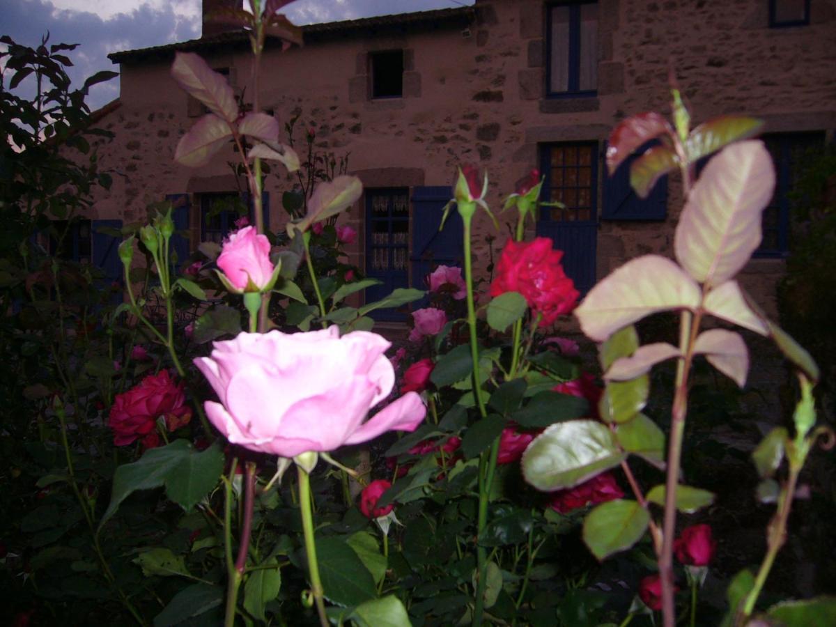 La Petite Vallee La Chapelle-Largeau Exterior foto